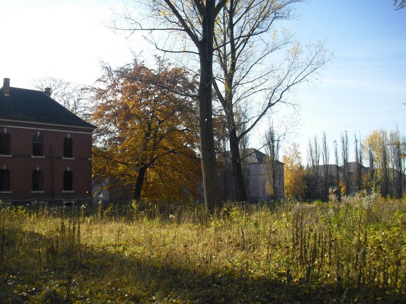 herbstimgelaende.jpg