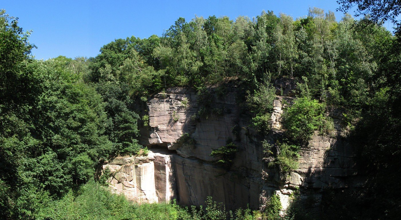 fuchsbergimzeisigwald.jpg